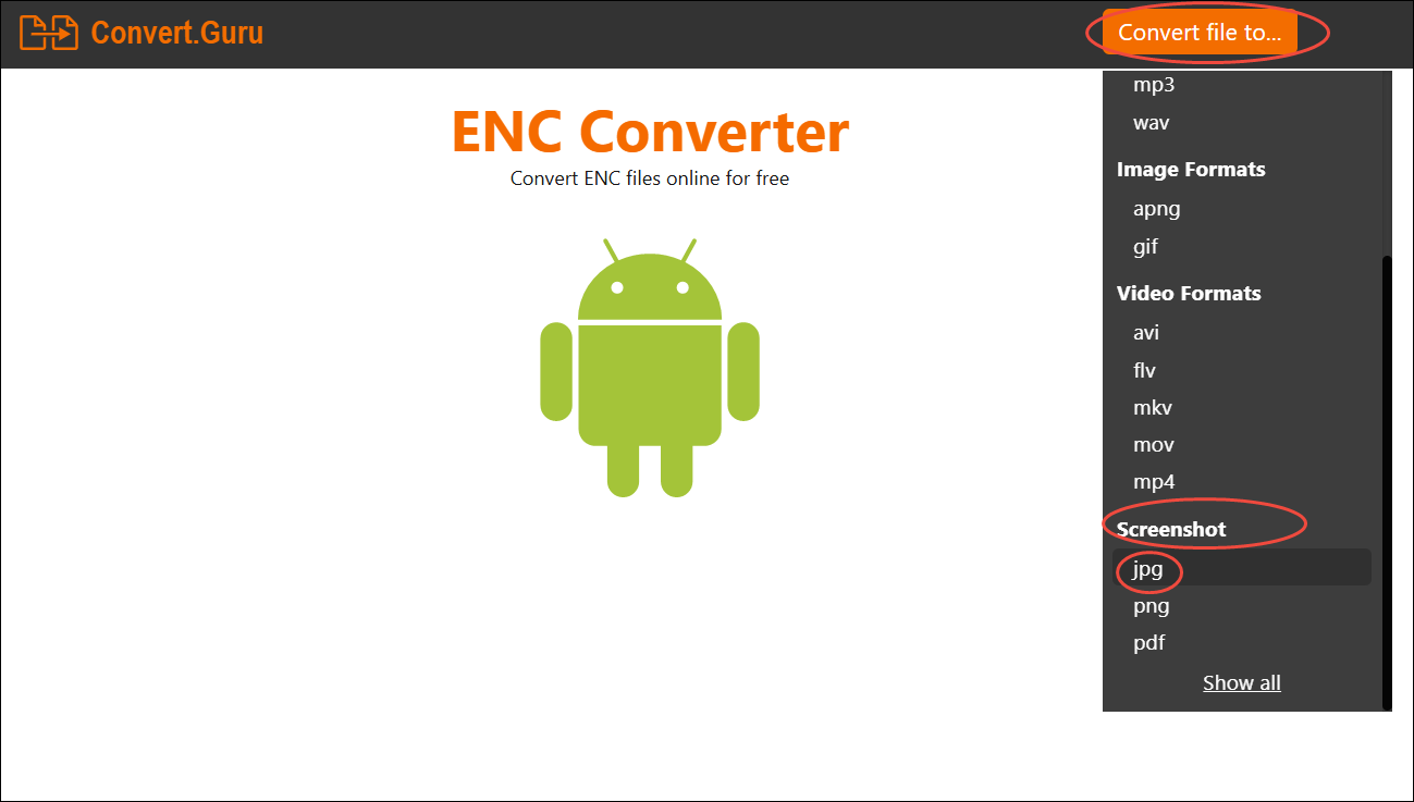 Click on Convert file to… in Convert.Guru to access the output format menu and choose JPG