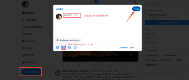 Click on the video upload icon or paste the shareable link into the input box, and click on Post to publish video on Bluesky