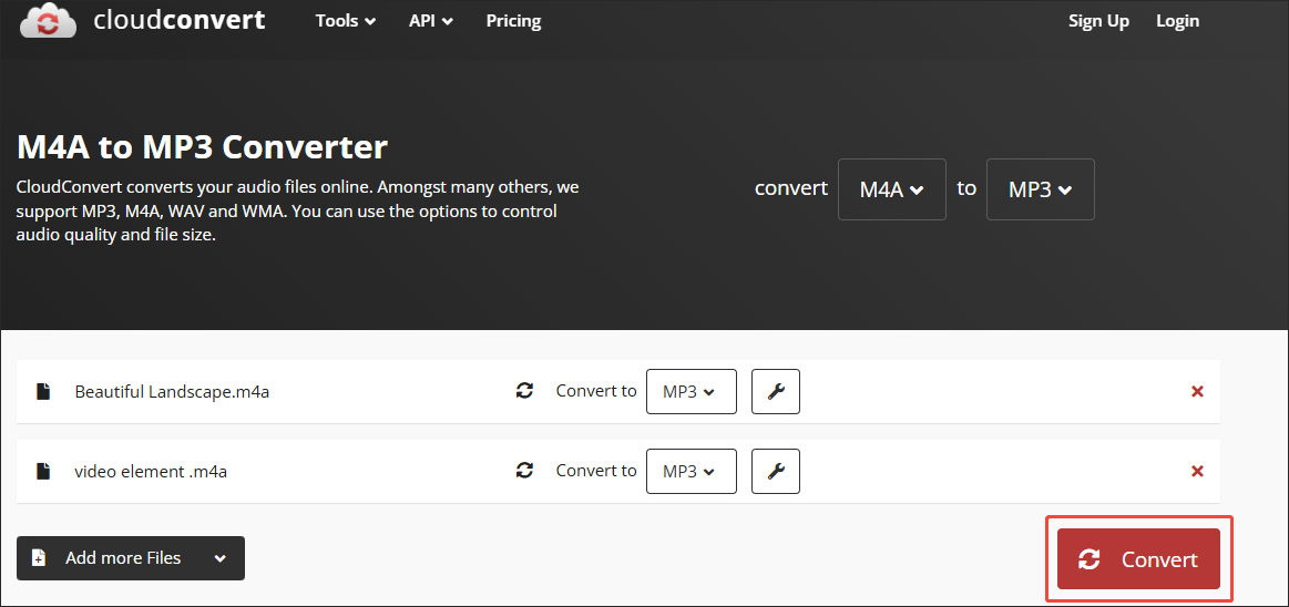 Click on Convert in CloudConvert to begin the conversion process