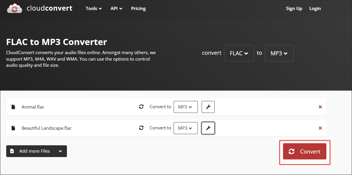 Click on Convert in CloudConvert to begin the conversion process