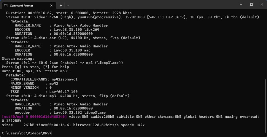 FFmpegによるMKVからMP3への変換が開始される