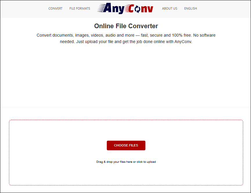 The AnyConv’s conversion interface