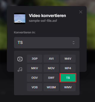 TS aus dem Dropdown-Menü auswählen