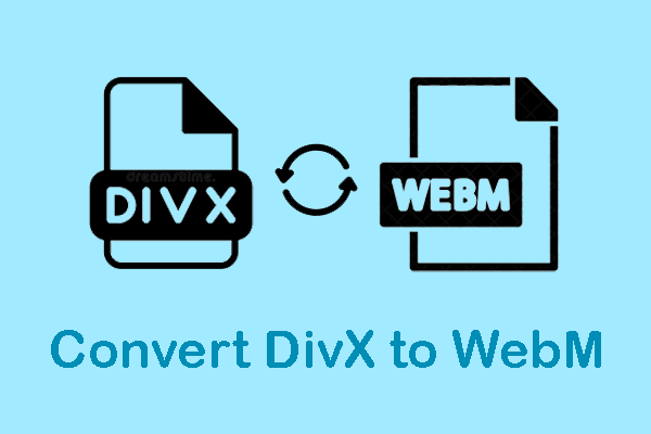 How to Convert DivX to WebM with Detailed Conversion Steps