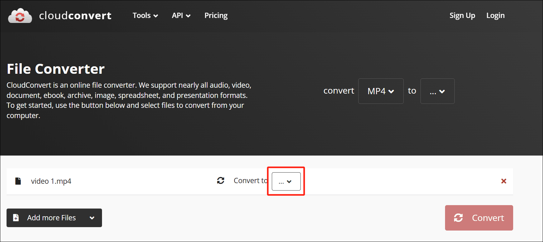 Expand the Convert to option in CloudConvert to choose an output format