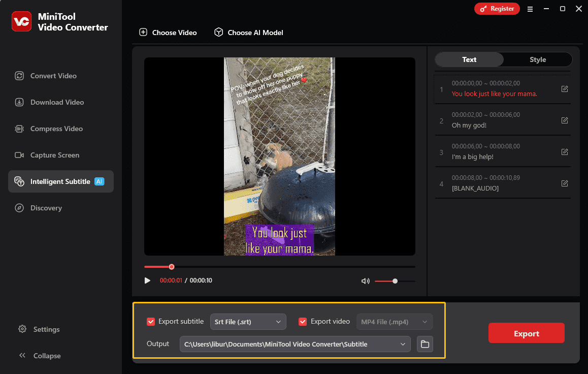 Choose an output subtitle format and save path of the TikTok video in MiniTool Video Converter