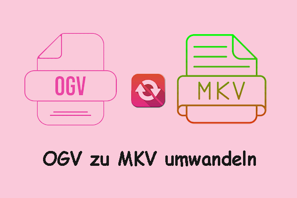 2 einfache Methoden: OGV zu MKV umwandeln [Desktop/Online]