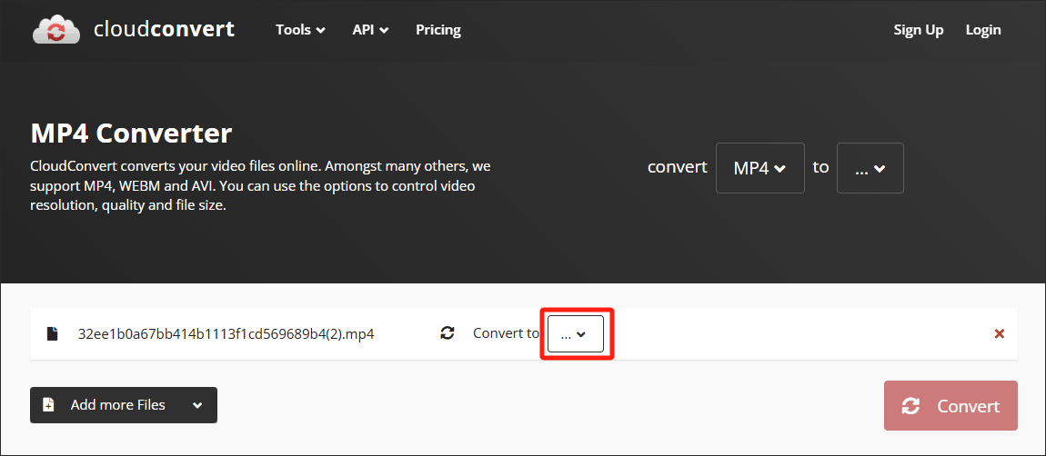 Expand the Convert to option in CloudConvert to choose an output format