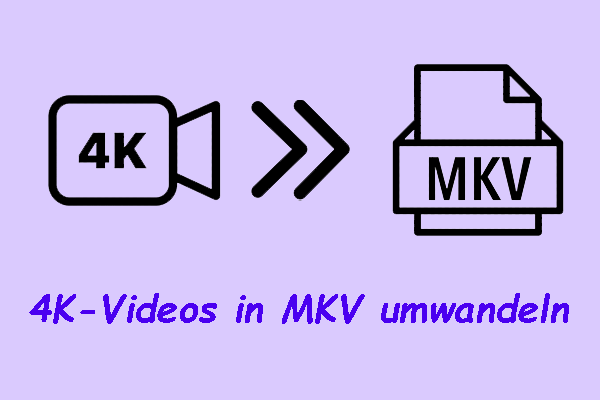 Wie kann man 4K-Videos in MKV einfach umwandeln – 2 bewährte Methoden