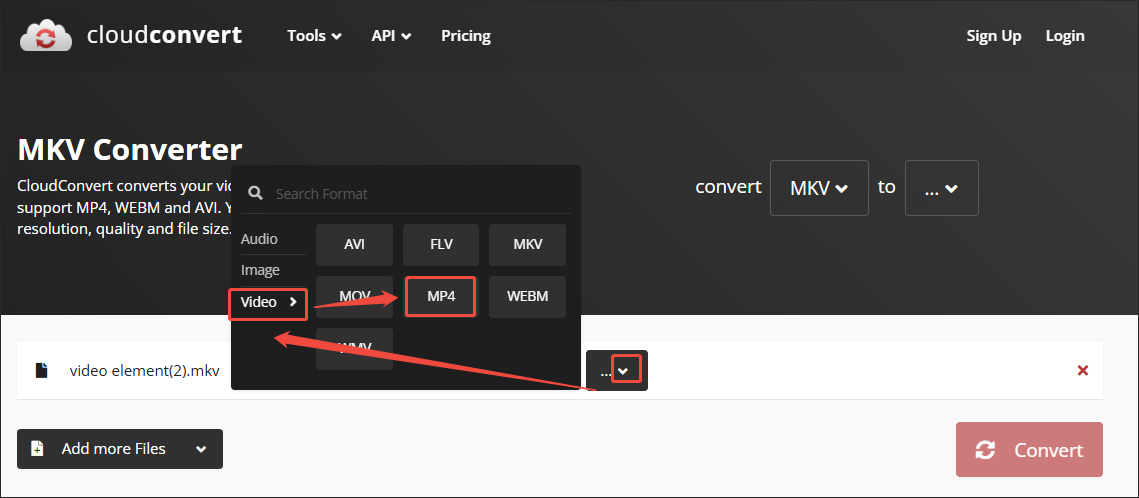 Choose MP4 as the output format in the output format window of CloudConvert