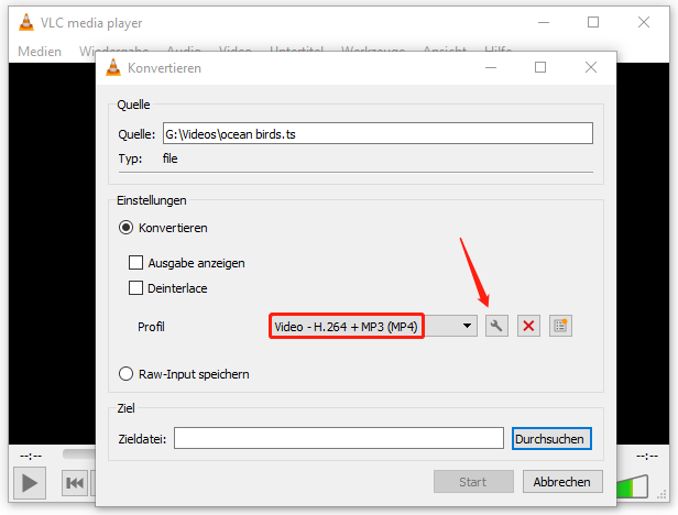Ausgabeformat auswählen und auf das Schraubenschlüsselsymbol klicken
