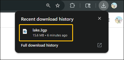 The browser pop-up window displays the downloaded file