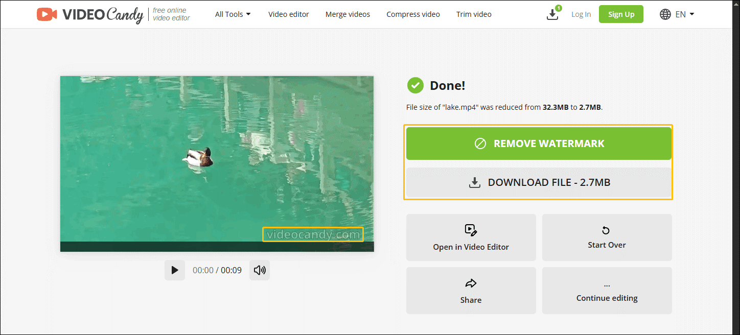 Video Candy interface with the REMOVE WATERMARK button and DOWNLOAD FILE button highlighted