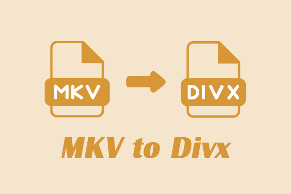 Learn How to Convert MKV to DivX / DivX to MKV Effortlessly
