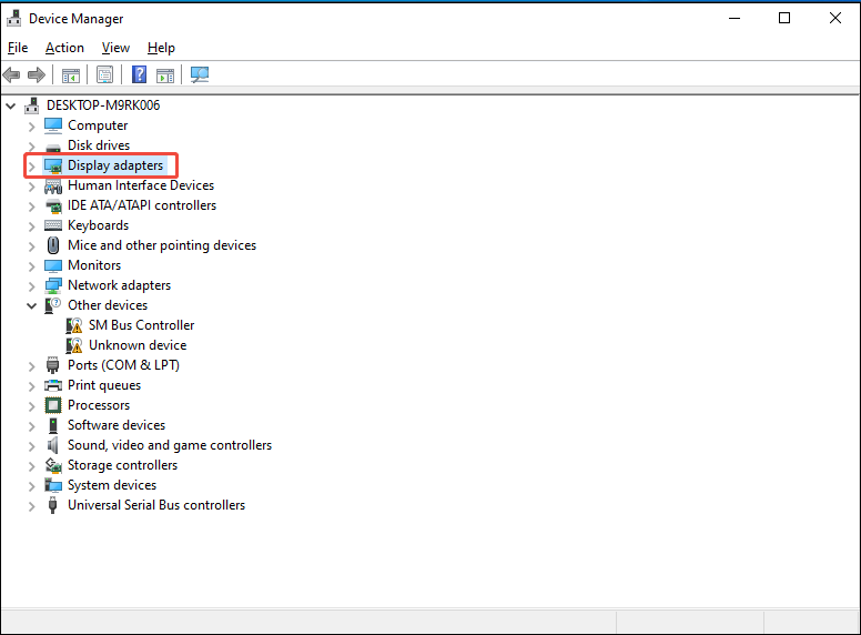 In the Device Manager interface, the Display adapters option is selected.