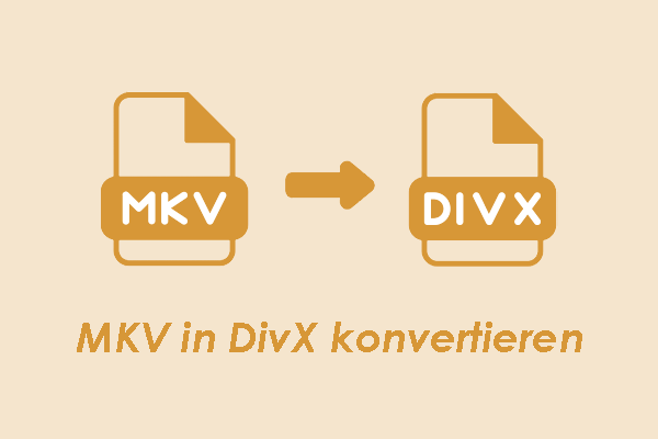 Einfache Anleitung: MKV in DivX konvertieren und umgekehrt
