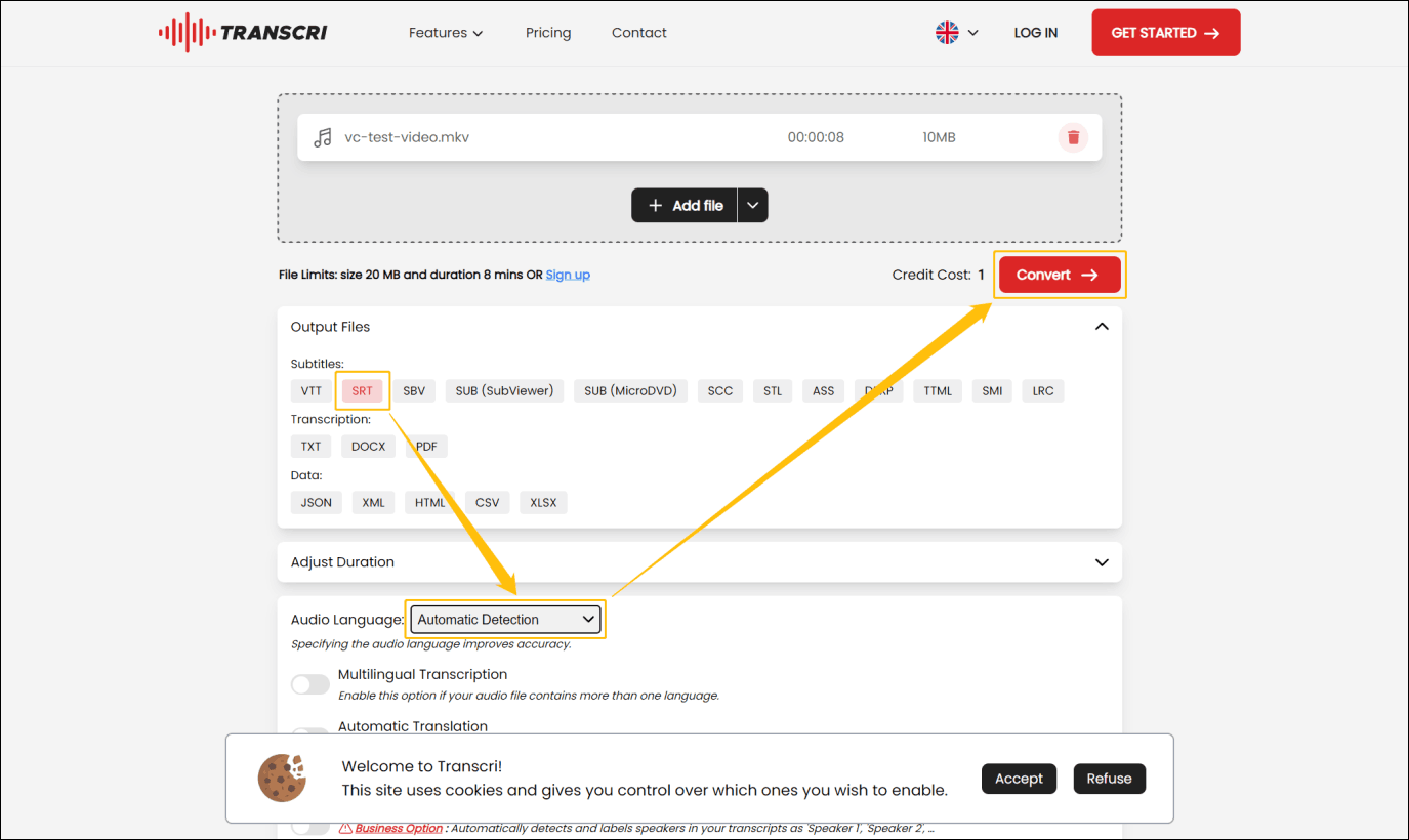 Transcri.io interface with the SRT, Audio language, and Convert option highlighted.