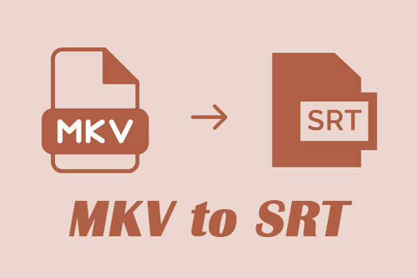 MKV to SRT: A Step-by-Step Tutorial on the 2 Best Methods