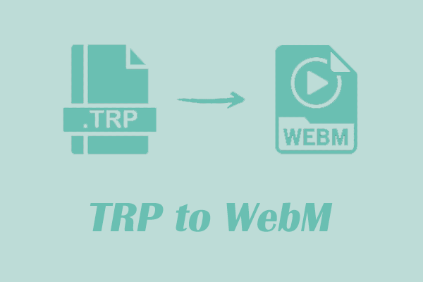 Master How to Convert TRP to WebM Easily with 2 Converters