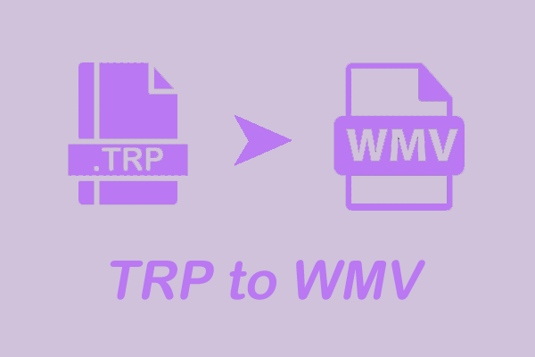 How to Convert TRP to WMV Effortlessly– Top 2 Converters