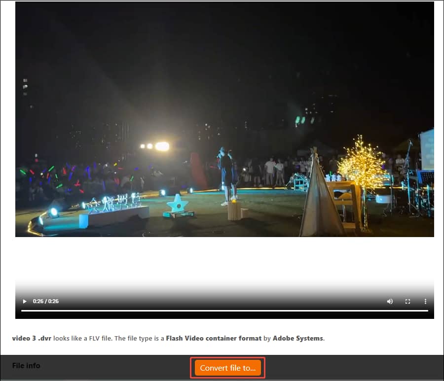 Convert.Guru interface with the Convert File to button selected.