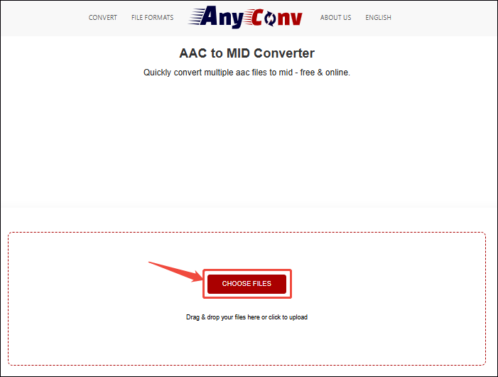 AnyConv interface with the CHOOSE FILES option selected.