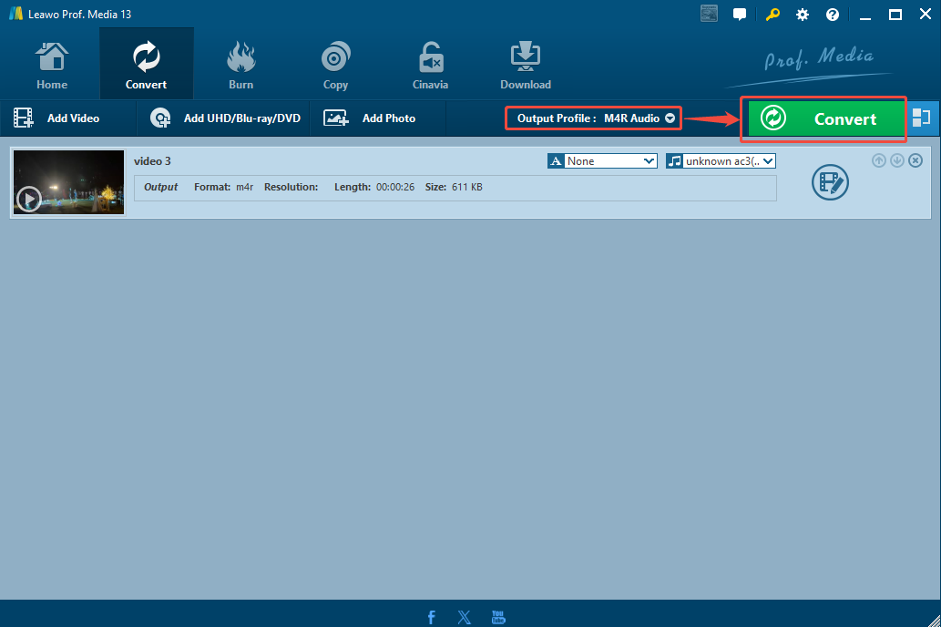 Leawo PROF. Media 13 interface with the Output Profile option and the Convert option selected.