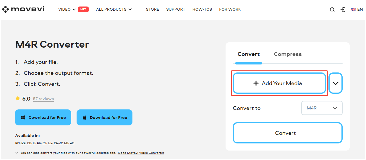 Movavi Video Converter interface with the + Add Your Media option selected to upload the MPEG video prepared.