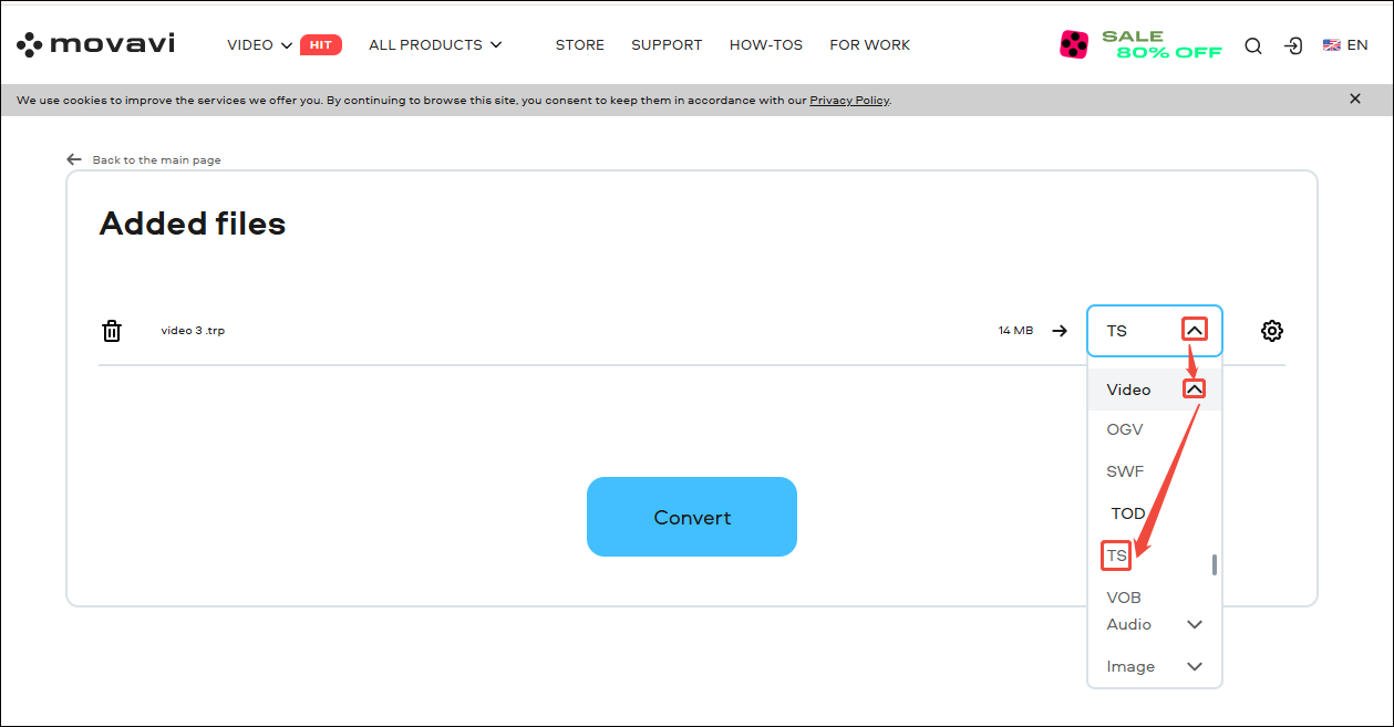 Movavi Video Converter interface with TS option selected.