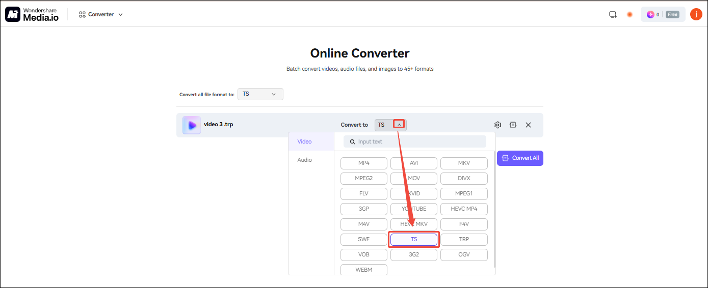 Media.io interface with TS selected in the Convert to option.