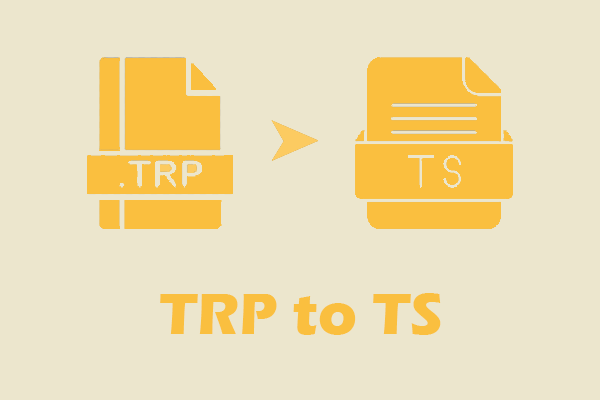 Convert TRP to TS Efficiently with 4 Top-grade Converters