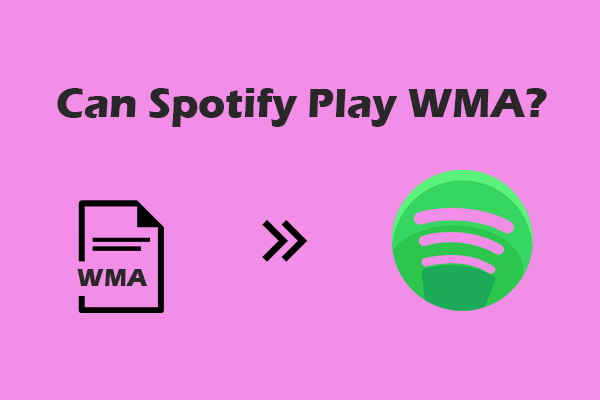 Can Spotify Play WMA? 3 Effortless Ways to View WMA Files