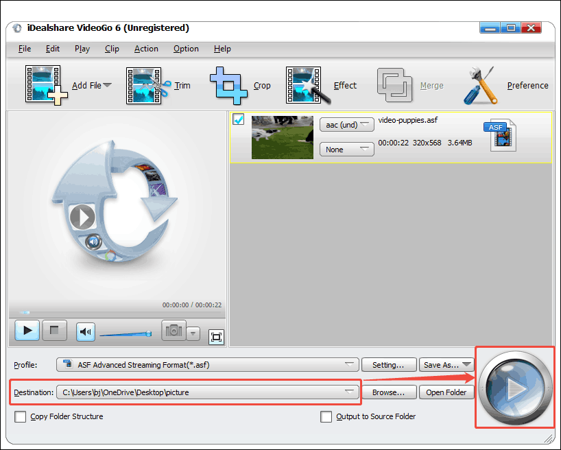iDealshare VideoGo interface with the Destination option and the Convert button selected.