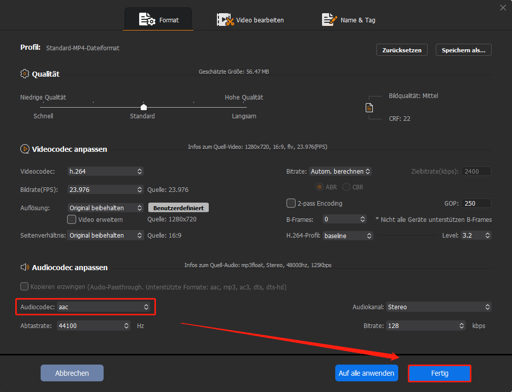 Ein Screenshot zum Anpassen des Audiocodecs mit Winxvideo AI.