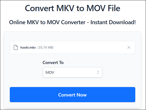 ConvertFilesで「Convert Now」をクリックしている様子