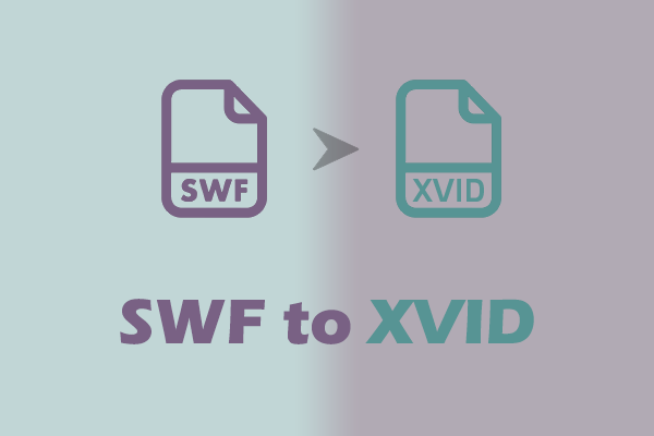 How to Convert SWF to Xvid with 2 Instant and Easy Methods
