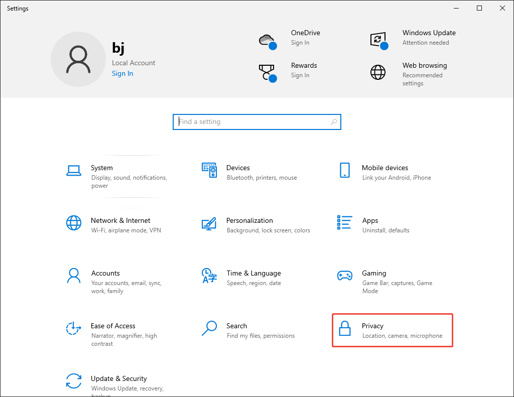 Windows Settings interface with the Privacy option selected.