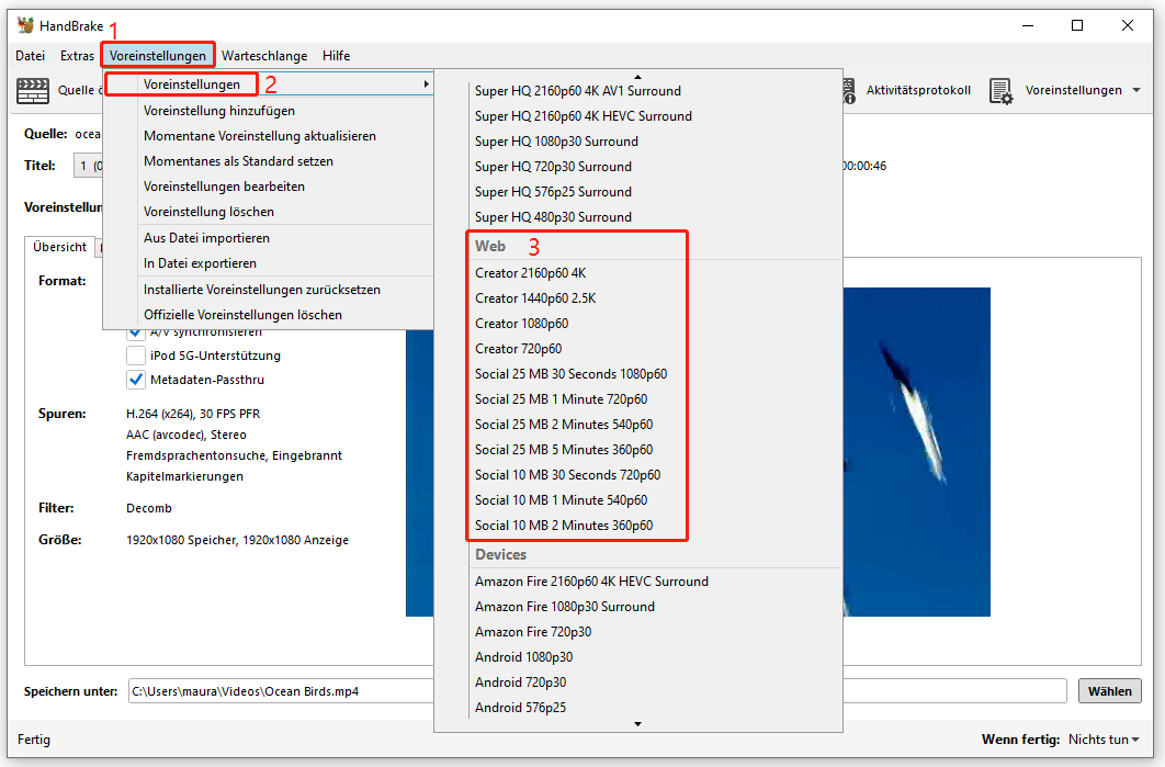 Ein Screenshot zur Auswahl einer gewünschten Voreinstellung in HandBrake.