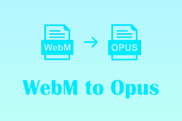 2 Methods Help You Easily and Instantly Convert WebM to Opus