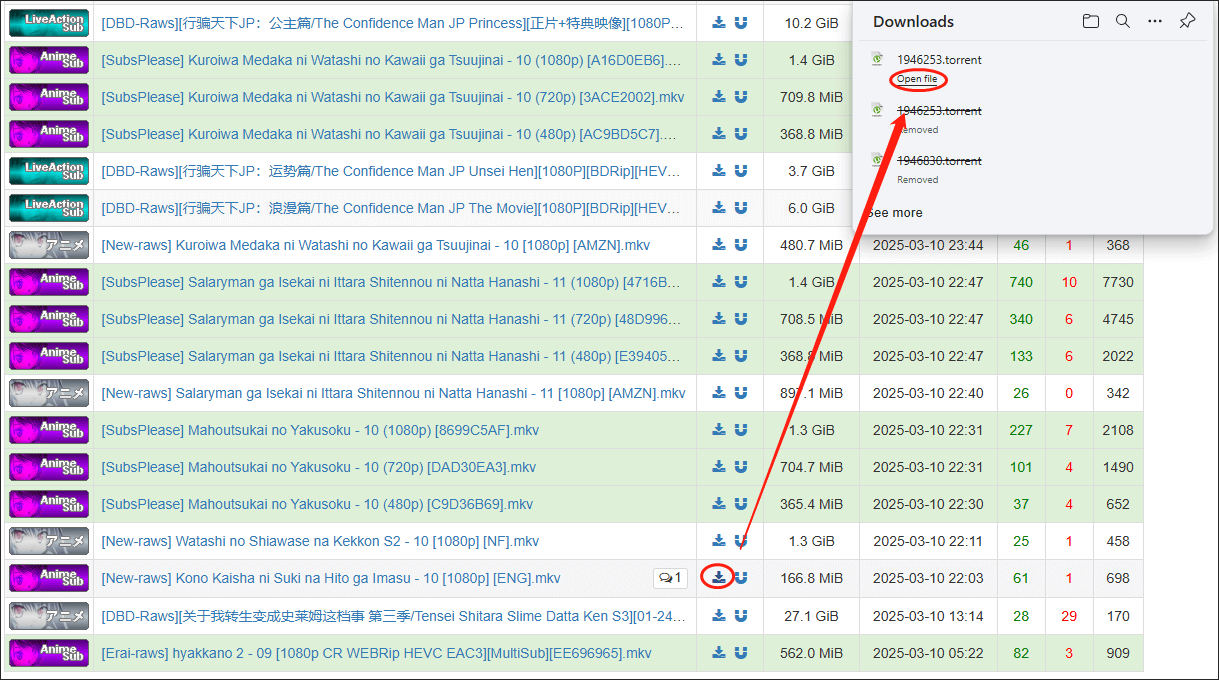 Nyaa website download page with the downloaded torrent file in the top right Downloads window.