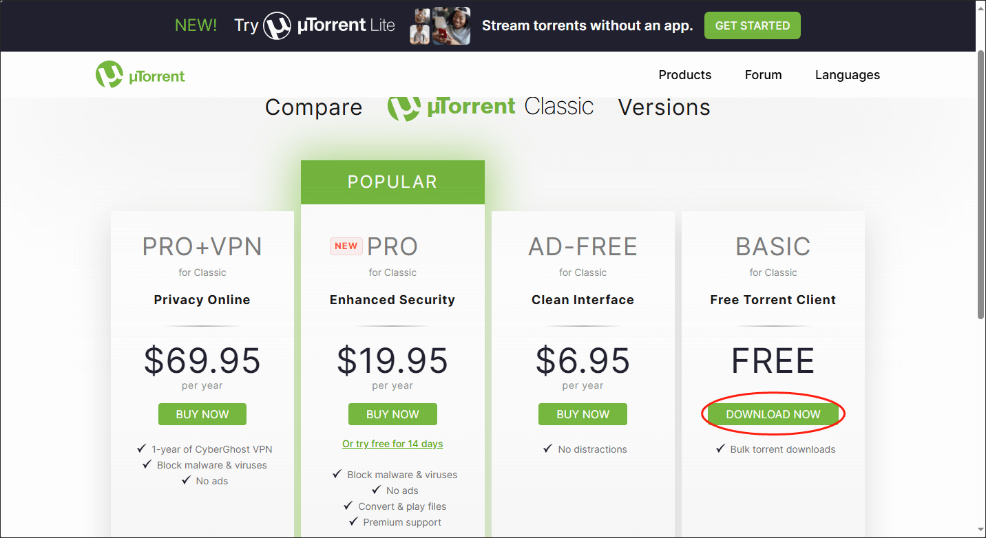 µTorrent interface with the DOWNLOAD NOW option of the BASIC plan selected.