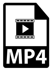 The MP4 icon.
