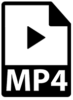 MP4 icon.