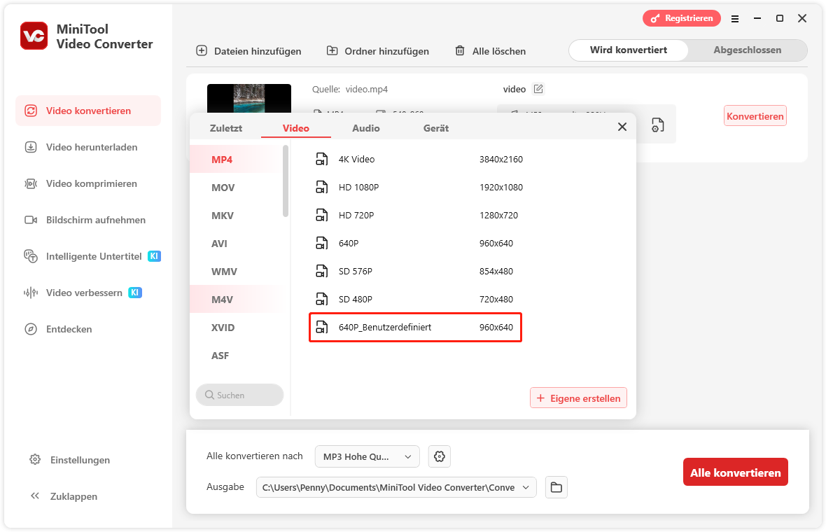 benutzerdefinierte Option wählen und Konvertierungsvorgang starten