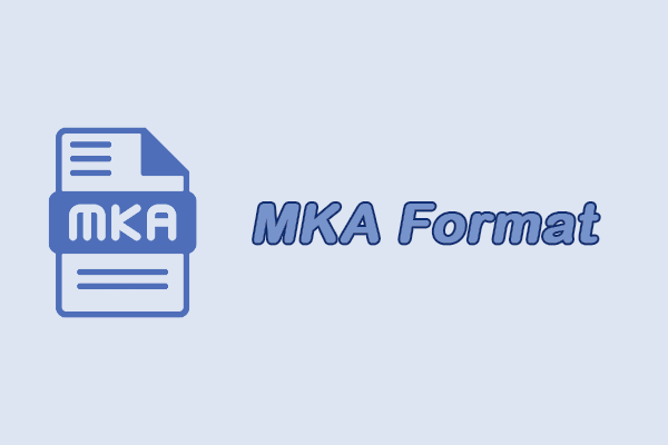 MKA Format: Definition, Features, and Best MKA Converter