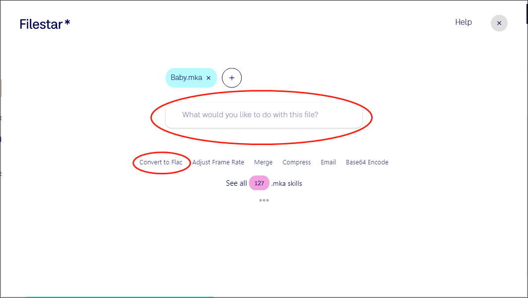 Filestar interface showing how to set FLAC as the output format.