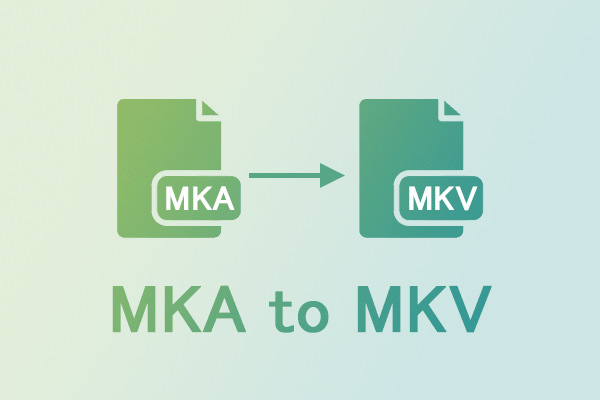 How to Change MKA to MKV Easily and Quickly – 2 Easy Methods