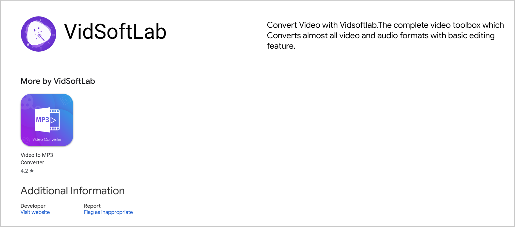 VidSoftLab Video Converter downloading page.