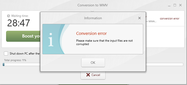 Freemake Video Converter Information window with the text saying Conversion error.
