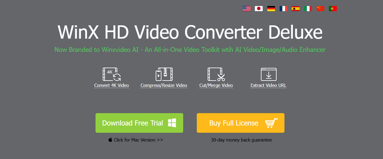 WinX HD Video Converter Deluxe downloading webpage.